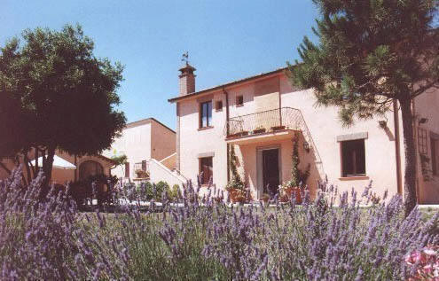 https://www.agriturismolemacine.it