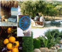 Agriturismo Reggio Calabria: Agriclub Le Giare