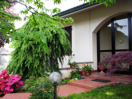 Bed & Breakfast Lombardia: Orchidea