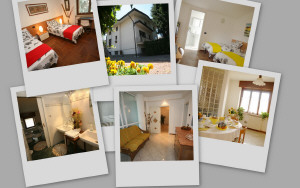 Bed & Breakfast Milano: Orchidea