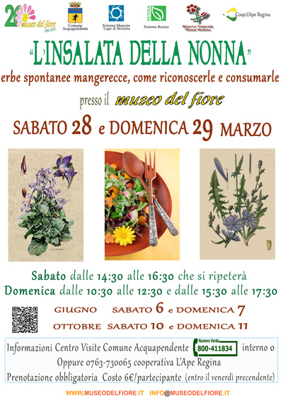 L'insalata della nonna - Acquapendente (VT) (28/29 Marzo 2015)