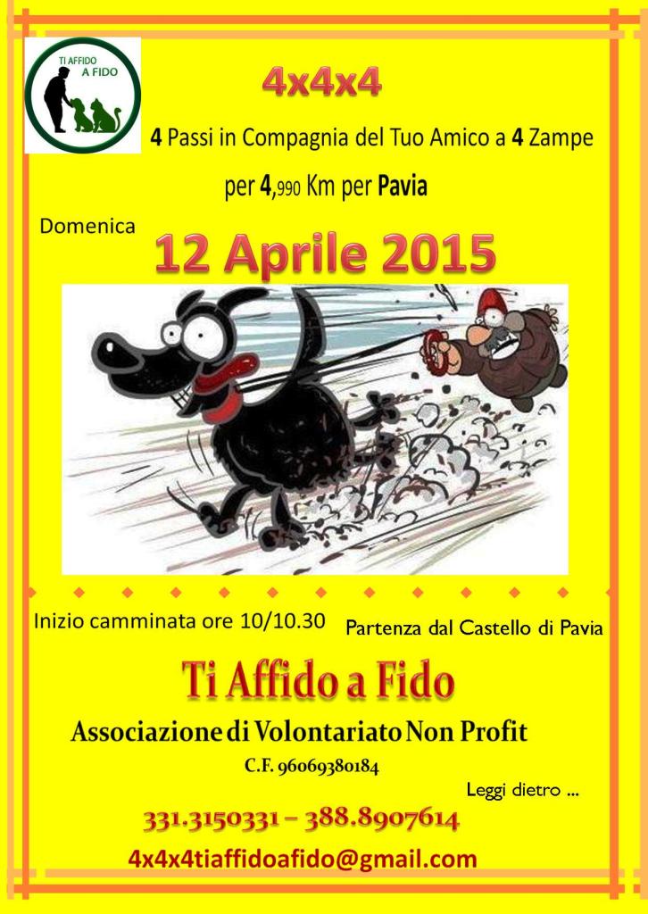 4x4x4 - Pavia (12 Aprile 2015)