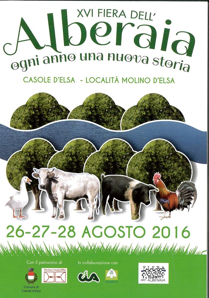 Eventi fine agosto - Casole d'Elsa (SI) (14/30 Agosto 2016)