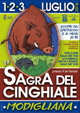 Sagra del Cinghiale - Modigliana (FC) (1/3 Luglio 2016)