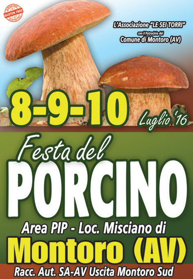 Festa Fungo Porcino - Montoro (AV) (8/10 Luglio 2016)