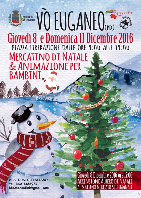 Mercatini di Natale - Padova (8/18 Dicembre 2016)