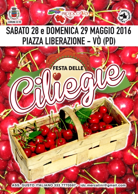 Festa delle ciliegie - V (PD) (28/29 Maggio 2016)